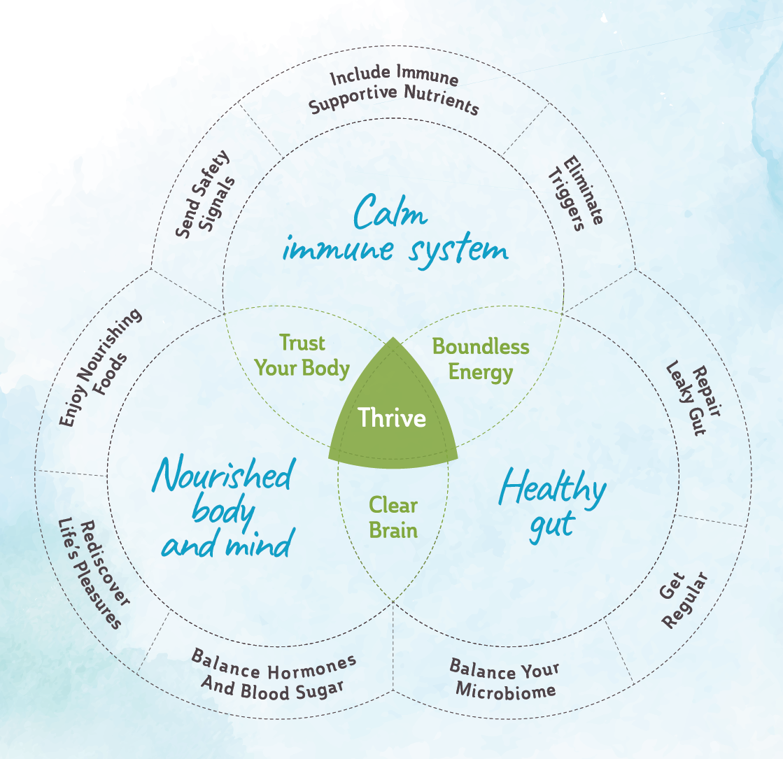 a diagram of the pillars of health we cover in Thrive